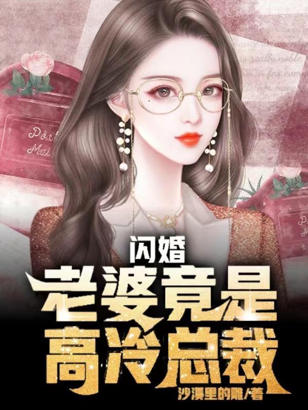 闪婚,老婆竟是高冷总裁 闪婚,老婆竟是高冷总裁