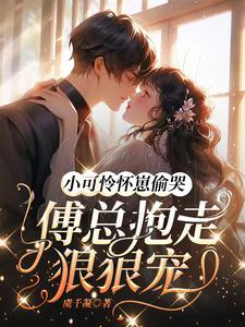 小可怜怀崽偷哭:傅总抱走狠狠宠 小可怜怀崽偷哭:傅总抱走狠狠宠