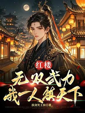红楼:无双武力,我一人镇天下 红楼:无双武力,我一人镇天下