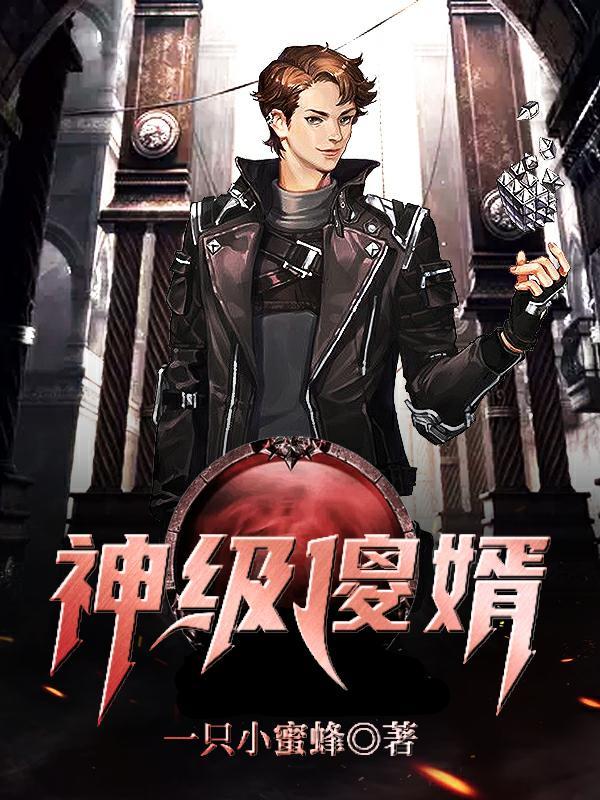 神级傻婿 神级傻婿