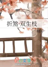 折煞·双生枝 折煞·双生枝
