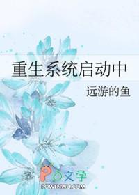 重生系统启动中 重生系统启动中