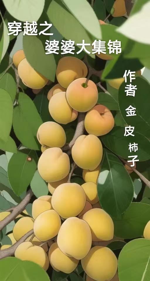 穿越之婆婆大集锦 穿越之婆婆大集锦